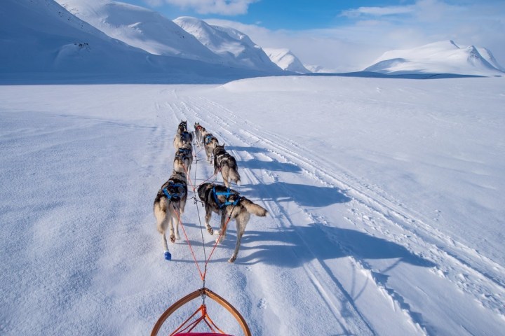 Sled dogs pull a sled across a snowy landscape with mountains in the background.