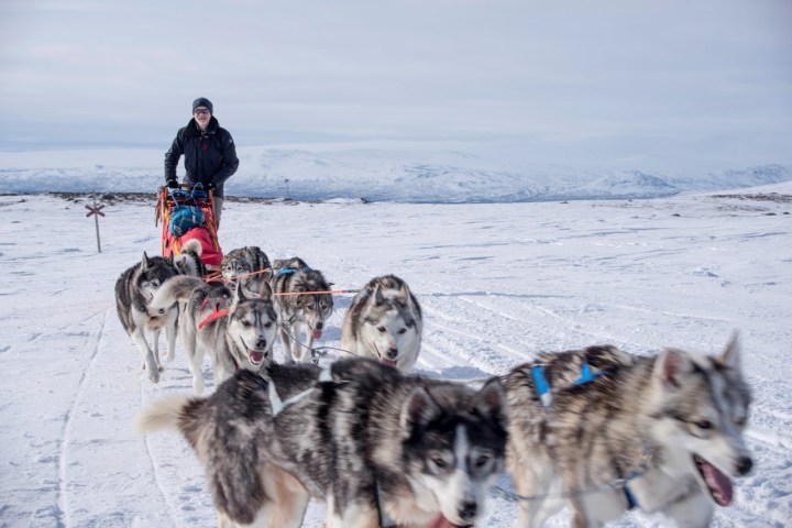 Person sledding with a team of huskies on snowy terrain under a cloudy sky.