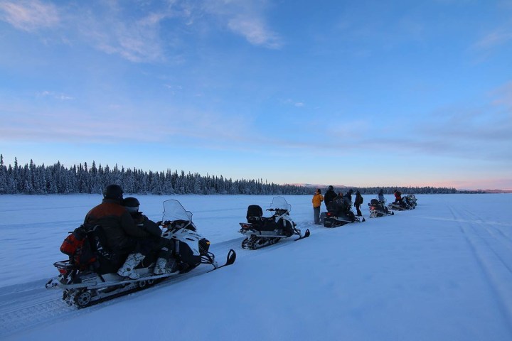 People riding snowmobiles on a snowy field with a forest in the background.