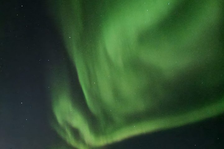 Green aurora borealis lights in night sky above silhouetted trees.