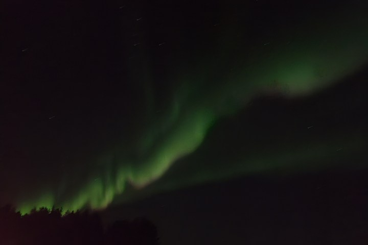Green aurora borealis lights in night sky above silhouettes of trees.