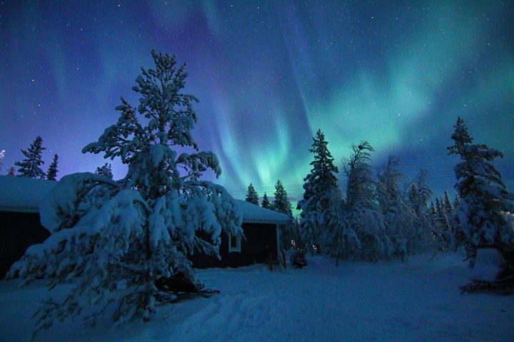 Snowy trees and house under a green aurora in a starry night sky.