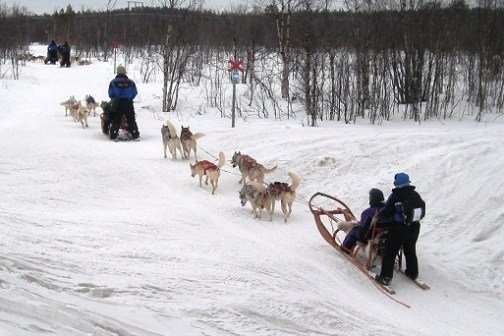 Two dog sled teams with riders traverse snowy terrain surrounded by barren trees.