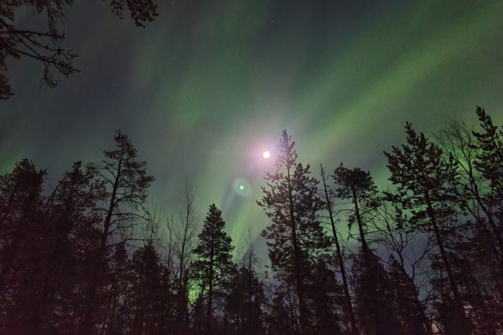 Moonlit forest with northern lights in a starry night sky.