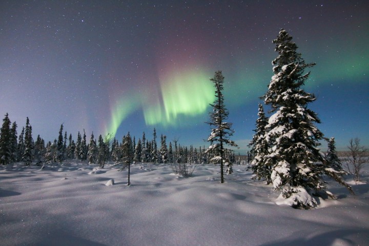 Snowy landscape with pine trees under aurora borealis in the night sky.