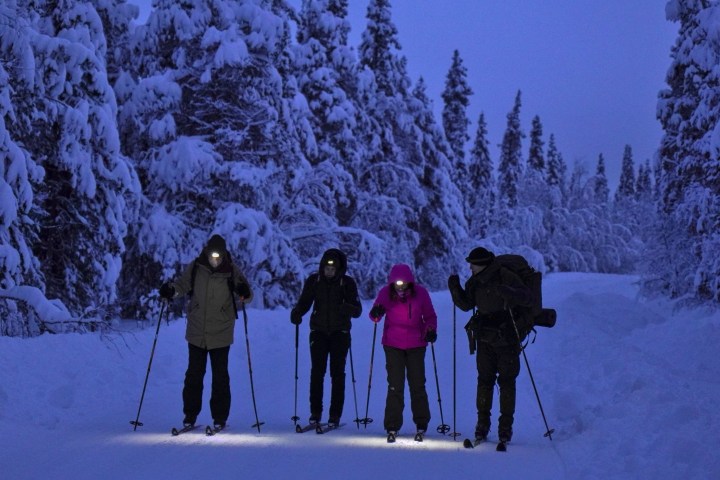 Four skiers with headlamps on a snowy forest trail at night.