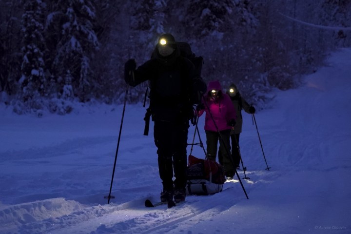 Three people skiing at night with headlamps in a snowy forest.