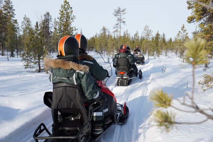 Three people riding snowmobiles through a snowy forest trail under a clear sky.