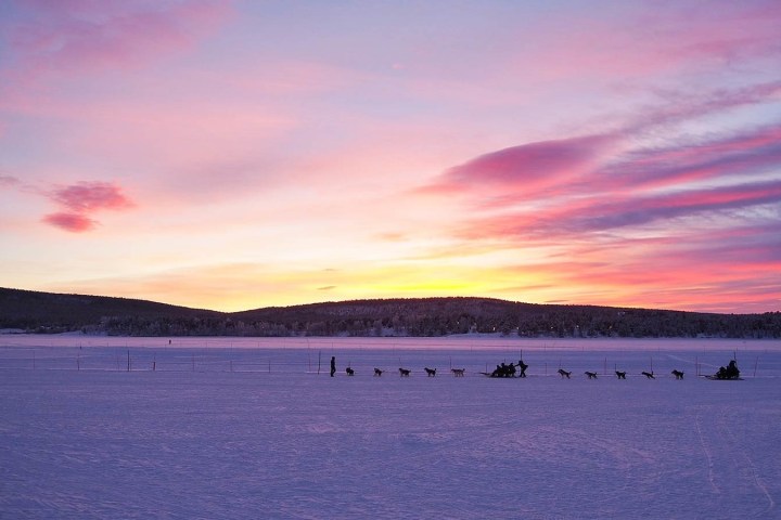 Dog sled team on snowy plain at sunset with pink and purple sky.