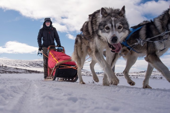 Person sledding with huskies on snowy terrain under a blue sky.