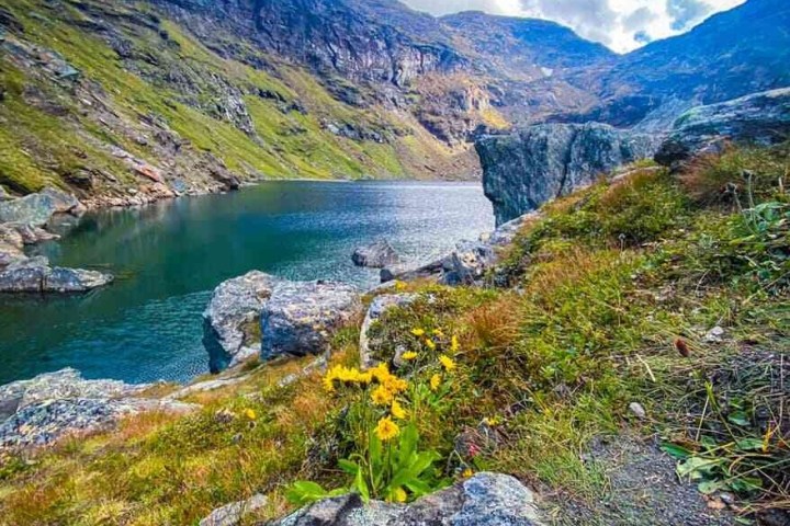 Mountain lake with yellow flowers in foreground and cloudy sky.