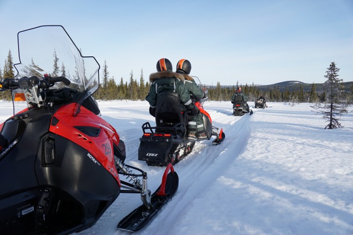 Four people riding snowmobiles on a snowy trail surrounded by trees.
