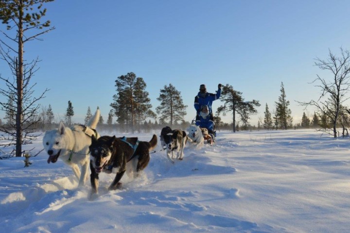 A team of dogs pulling a sled with two people through snowy terrain under a clear blue sky.