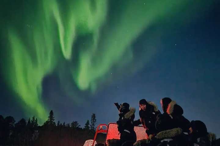 People on a sled under the green aurora borealis in a snowy landscape at night.