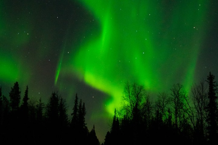 Green aurora borealis over snowy landscape with silhouetted trees at night.
