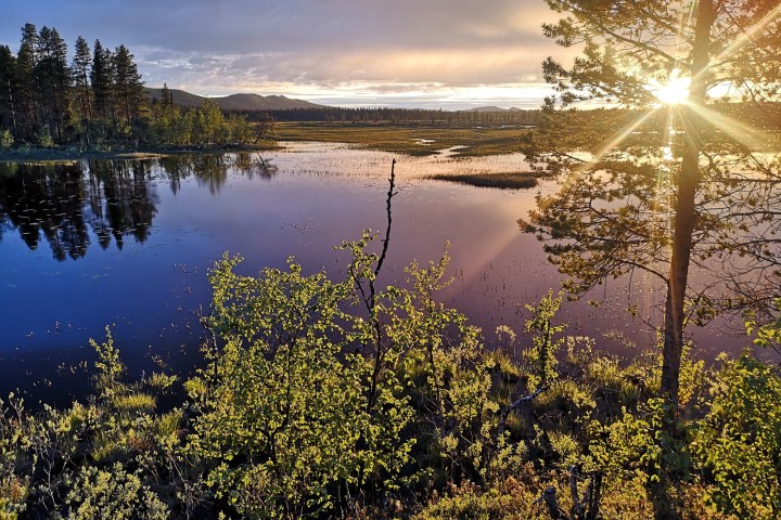 Sunset over a lake with trees, reflecting in the water, and a sunburst through tree branches.