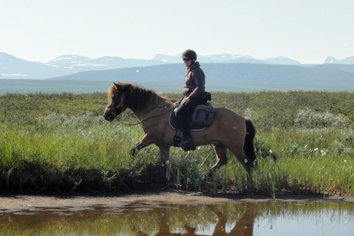 Person riding a horse near a pond with mountains in the background.
