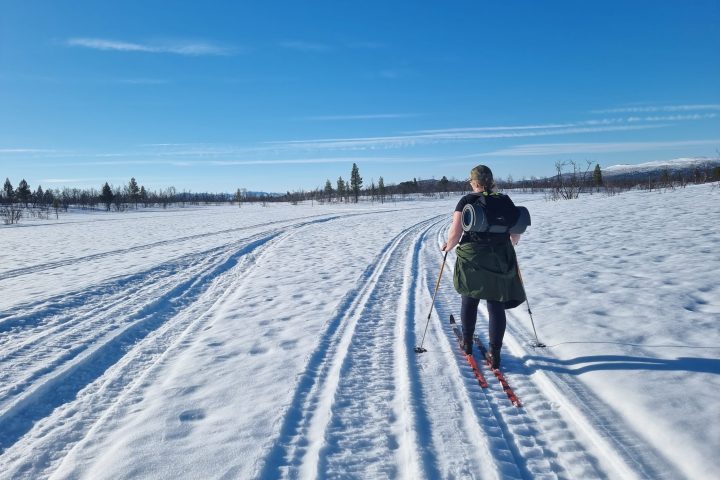 Person skiing on a snowy field under a clear blue sky with trees in the distance.