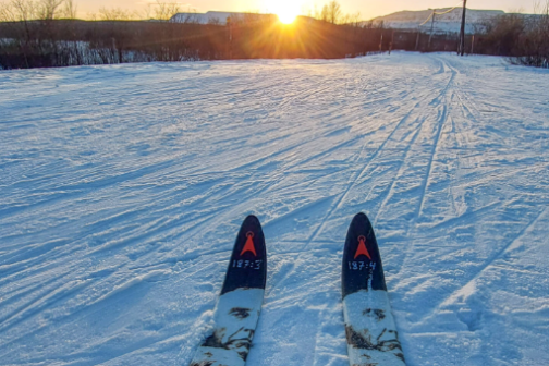 Ski tips on snowy trail with sunset in the background, winter landscape.