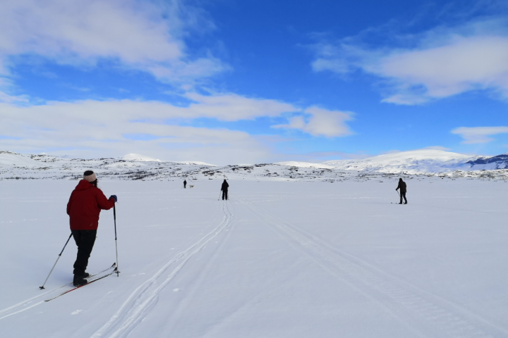 People skiing on a snowy landscape under a blue sky with clouds.