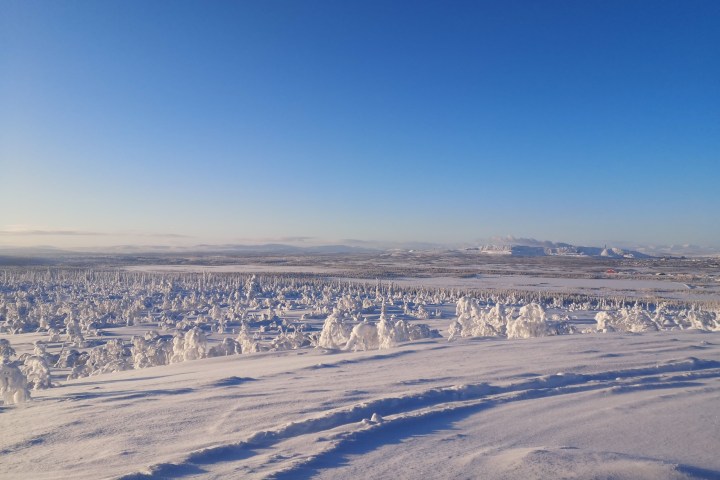 Snow-covered trees and hills under a clear blue sky.