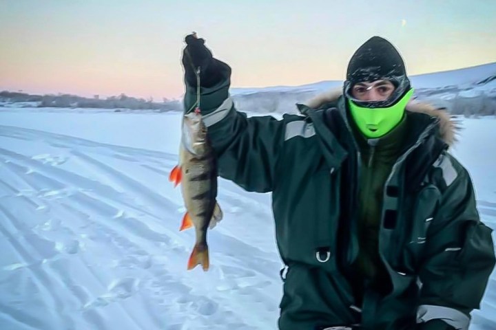 Person in winter clothing holding a fish on a snowy landscape.