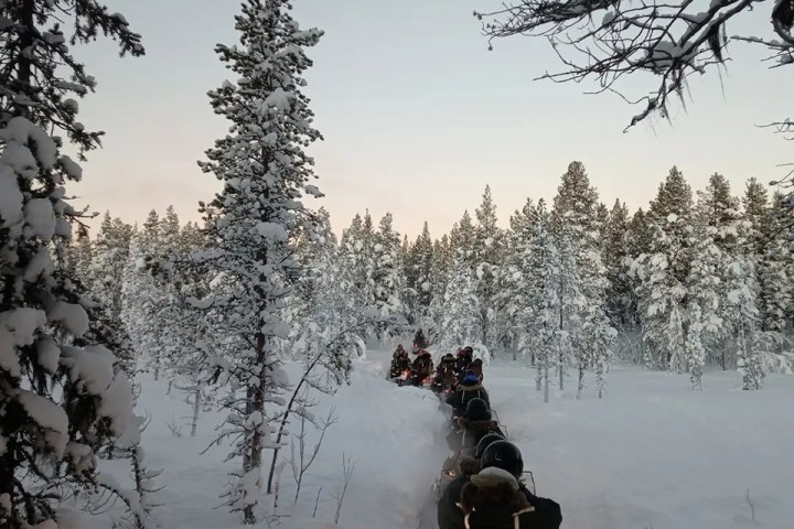 Group snowmobiling through snowy forest under clear sky.