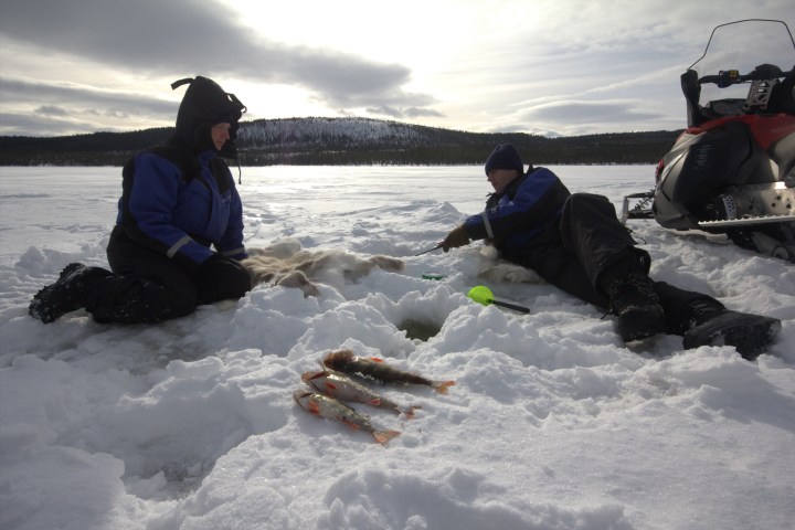 Two people in winter gear ice fishing with a snowmobile and caught fish on snow.