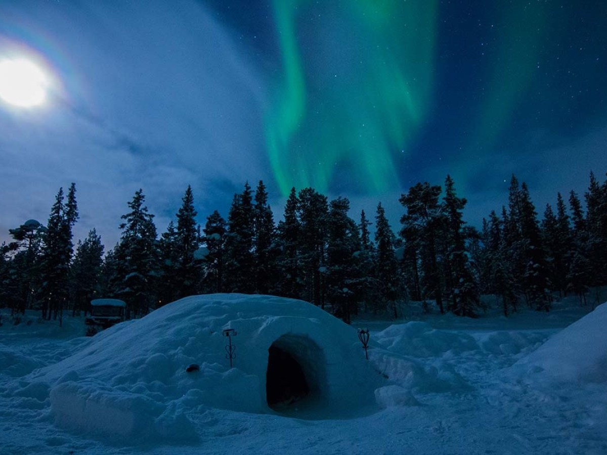 Snowy igloo under Northern Lights and bright moon, surrounded by trees.