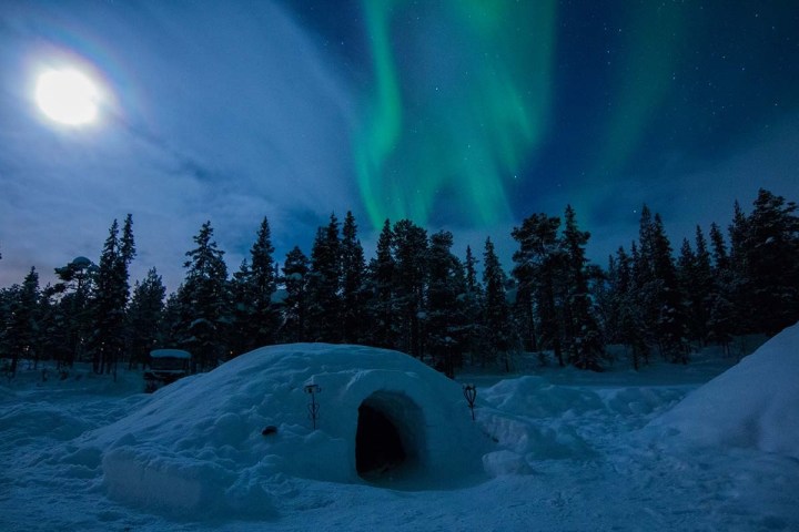 Snowy igloo under Northern Lights and bright moon, surrounded by trees.