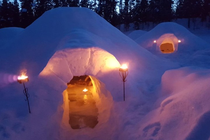 Snow igloos lit by torches at night in a snowy forest.