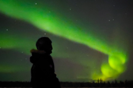 Silhouette of person kneeling on snow under vibrant green aurora borealis.