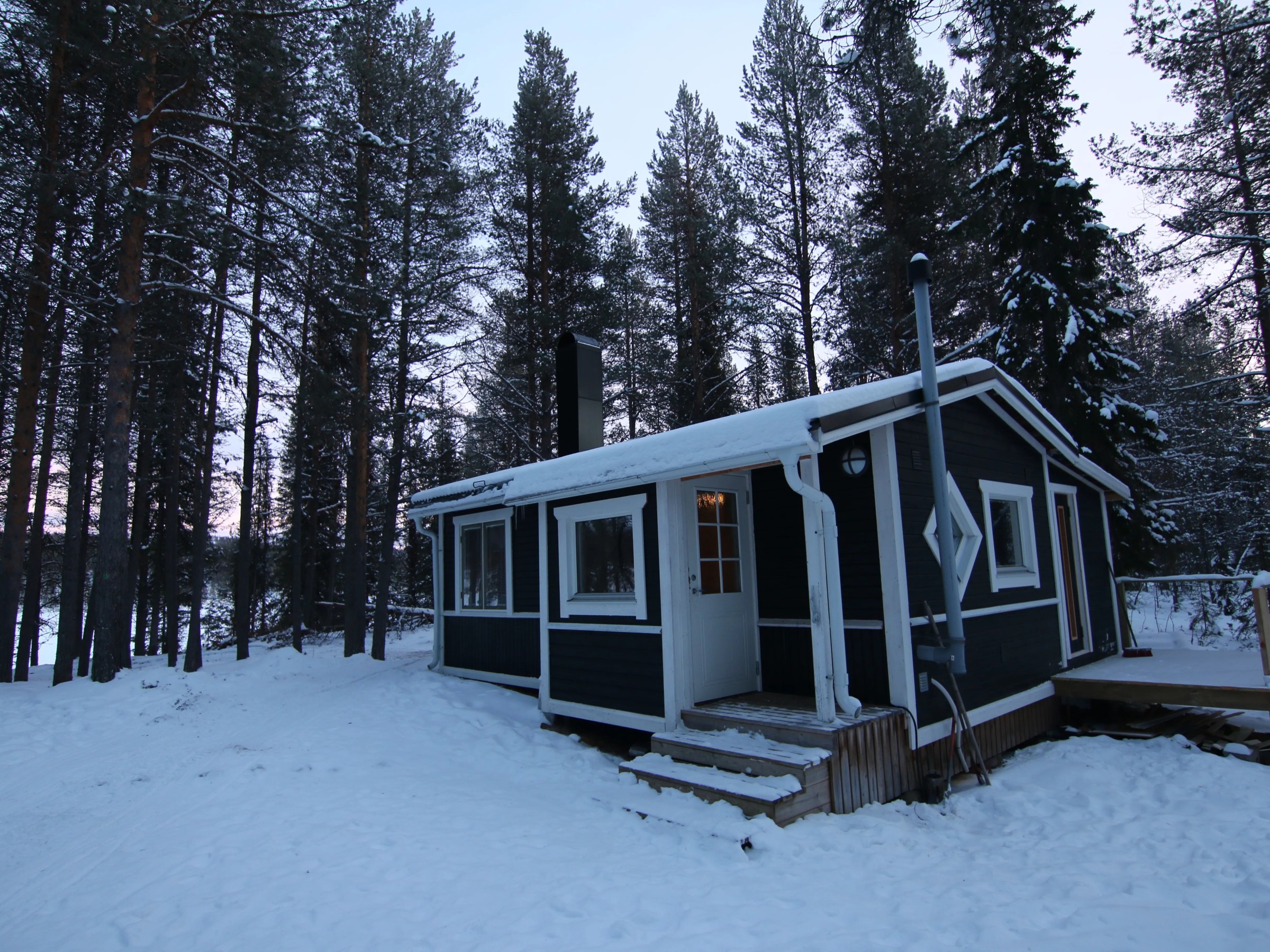 Snow-covered cabin surrounded by tall pine trees at dusk.