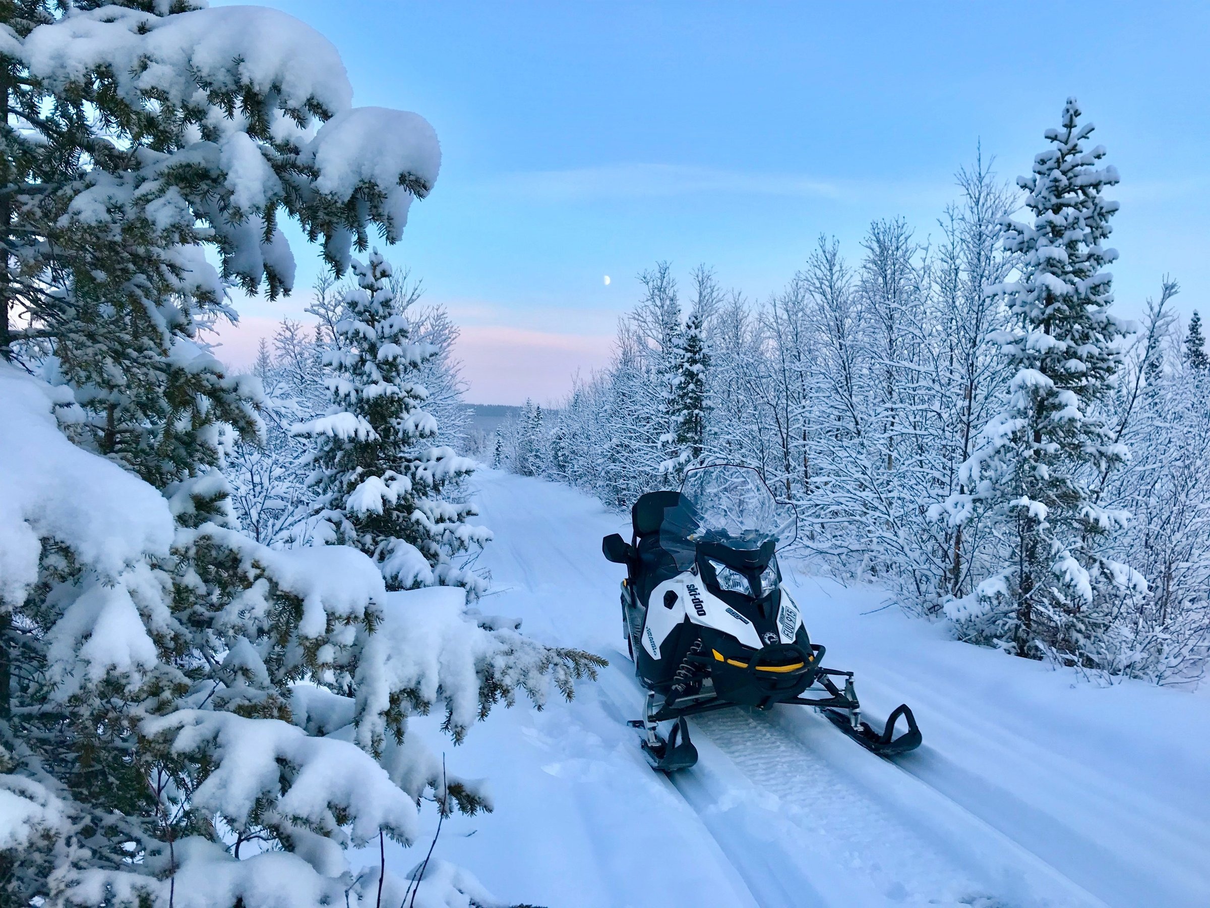 Snowmobile on a snow-covered trail surrounded by snow-laden trees under a blue sky.
