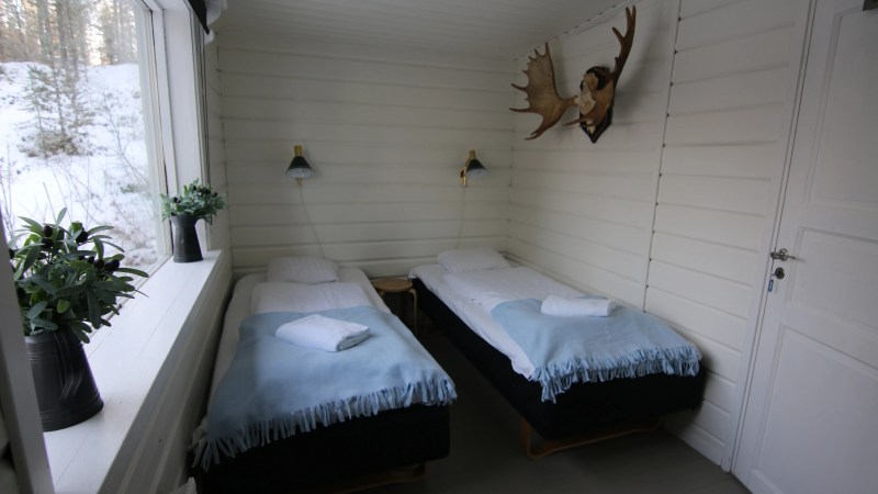 Two beds with blue blankets in a white-paneled room with moose antlers on the wall.