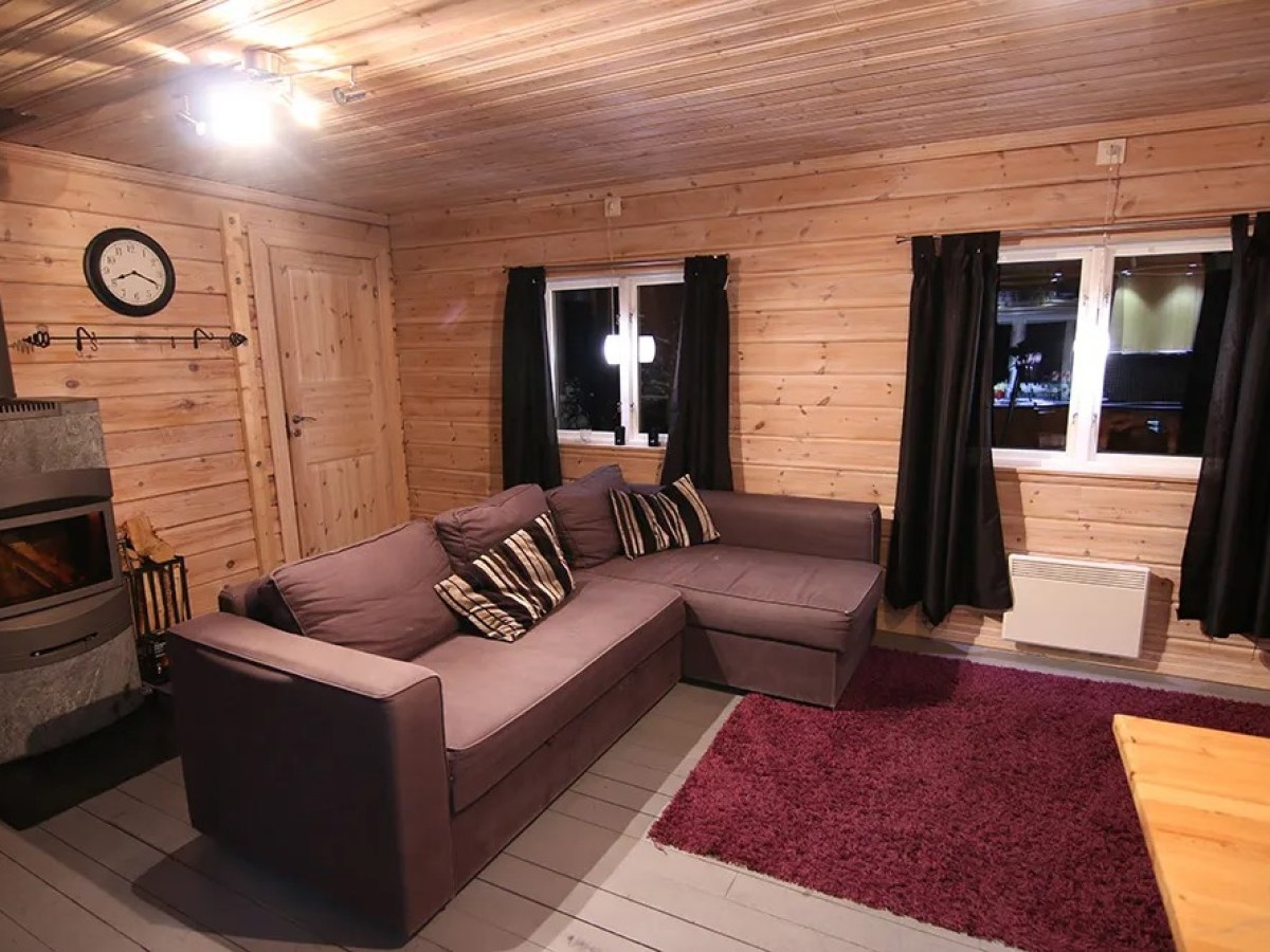 Cozy wooden living room with a gray sofa, fireplace, and purple rug.