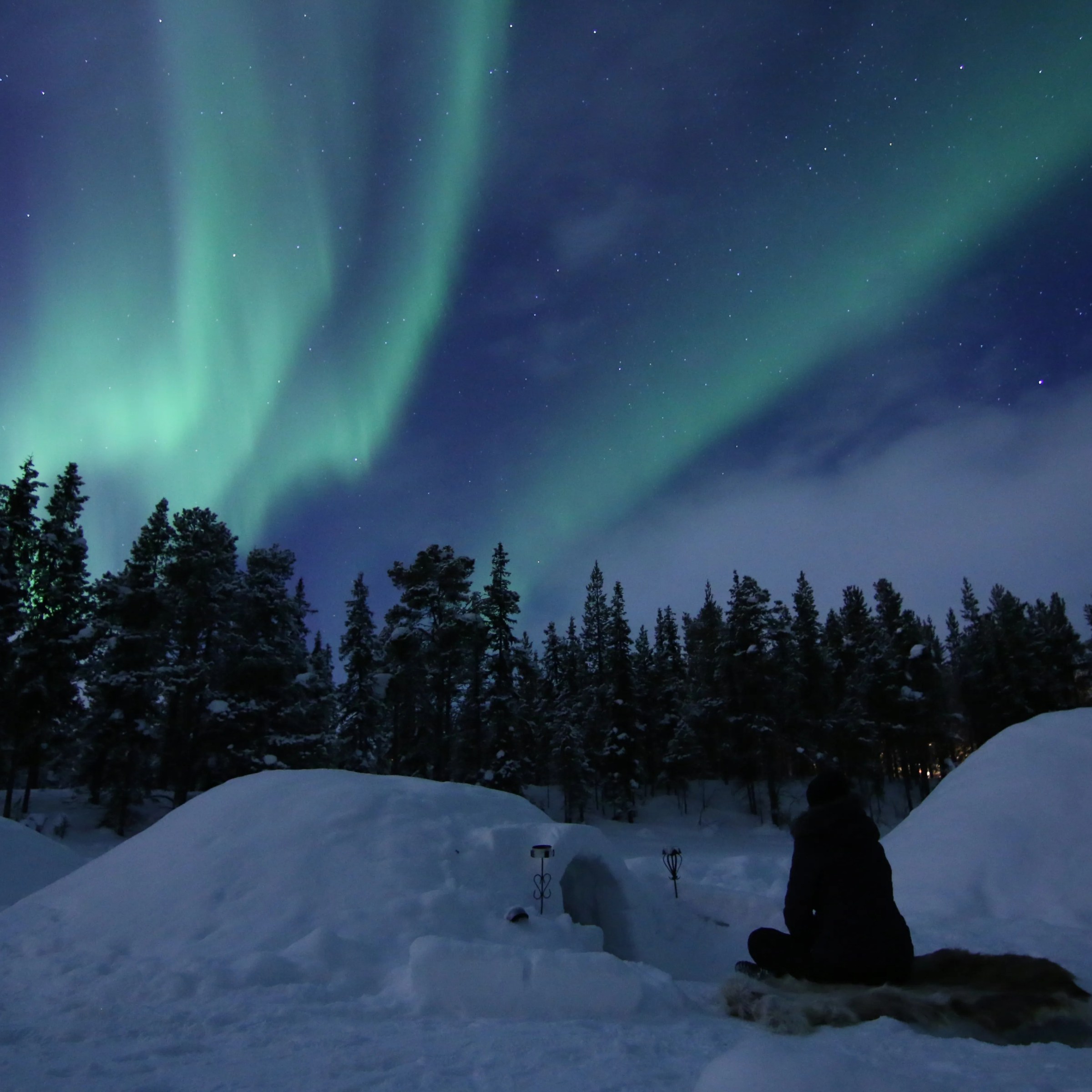 Person sitting on snowy ground watching northern lights in a starry night sky.