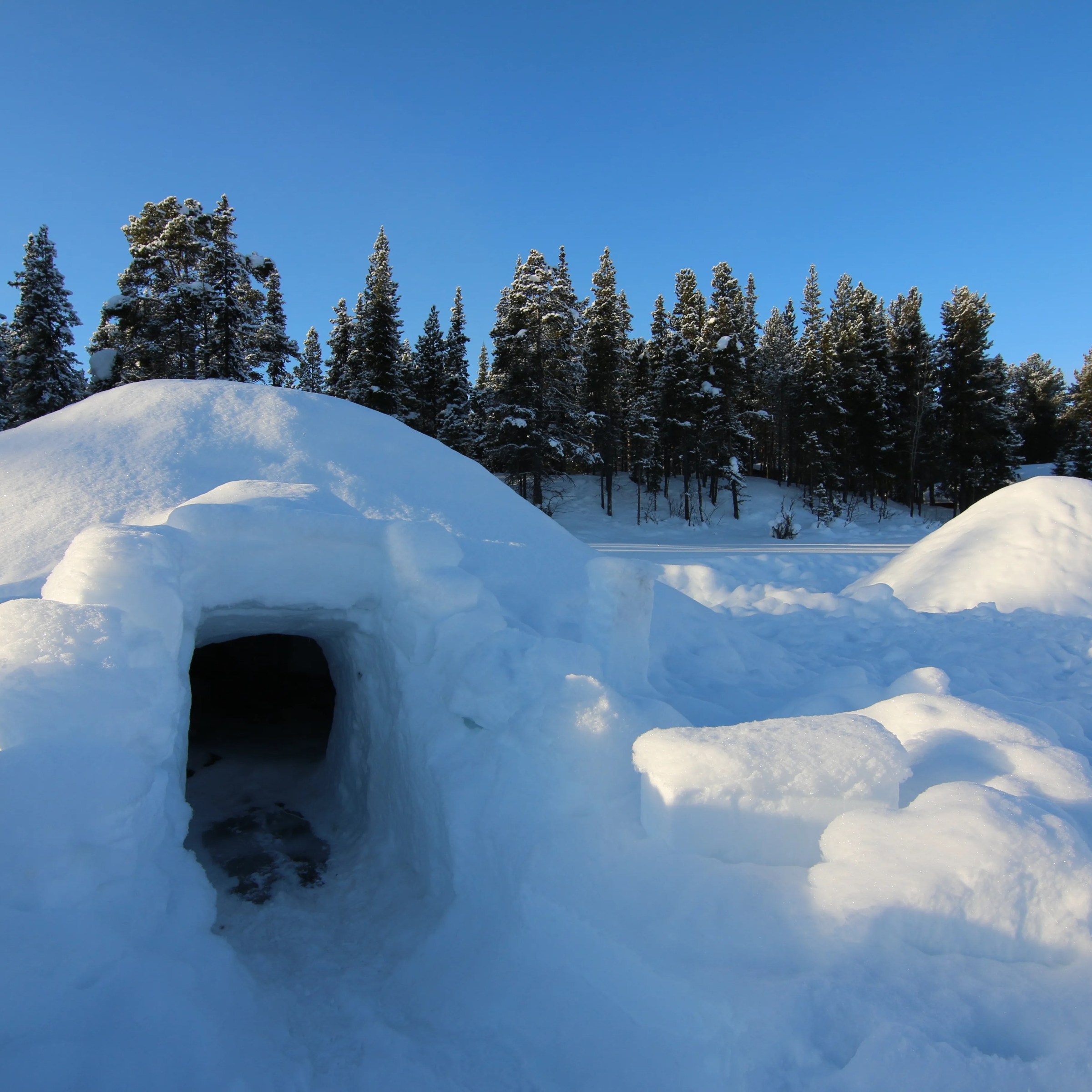 Snow-covered igloo near snowy forest under clear blue sky.