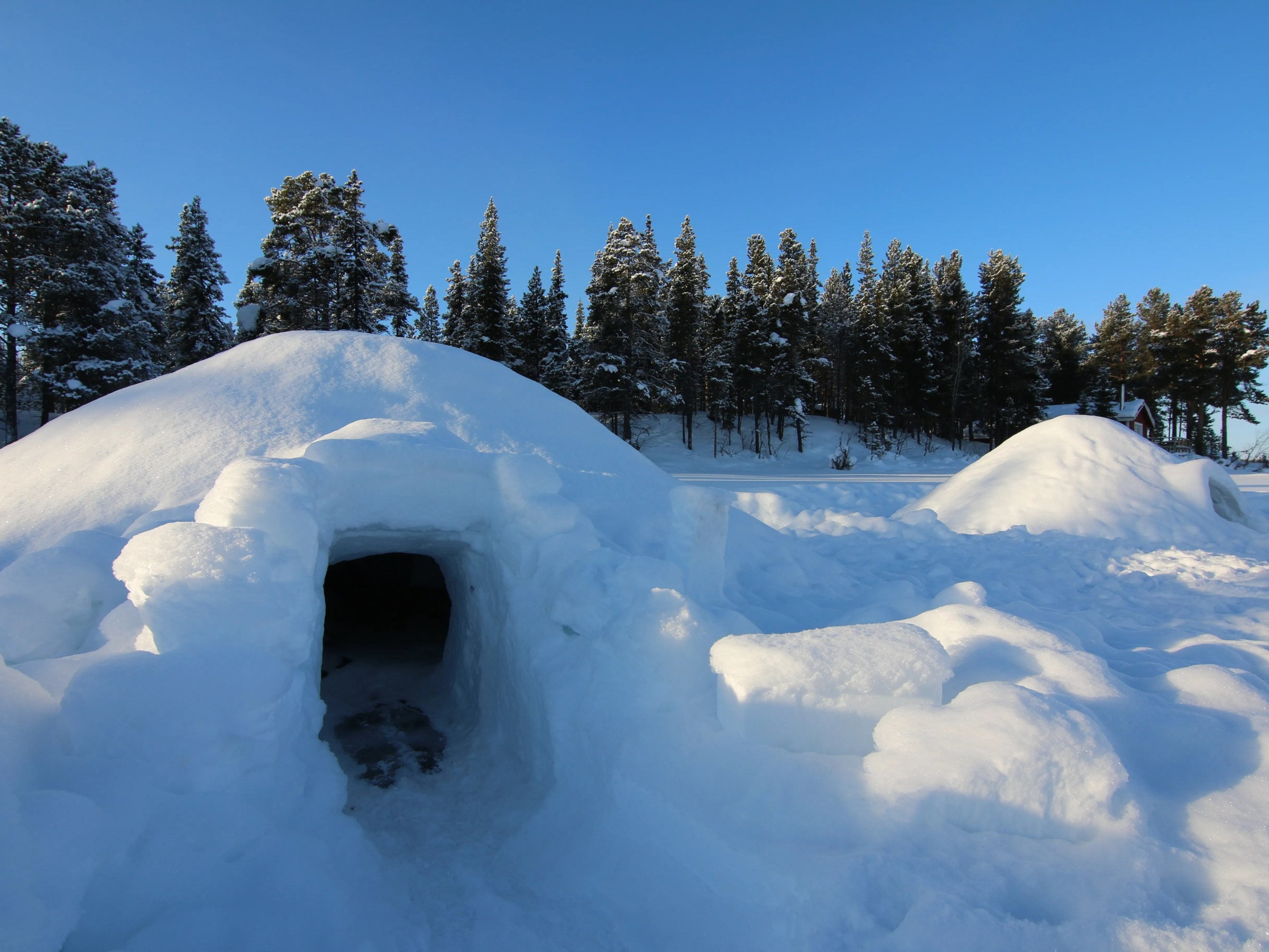 Snow-covered igloo near snowy forest under clear blue sky.