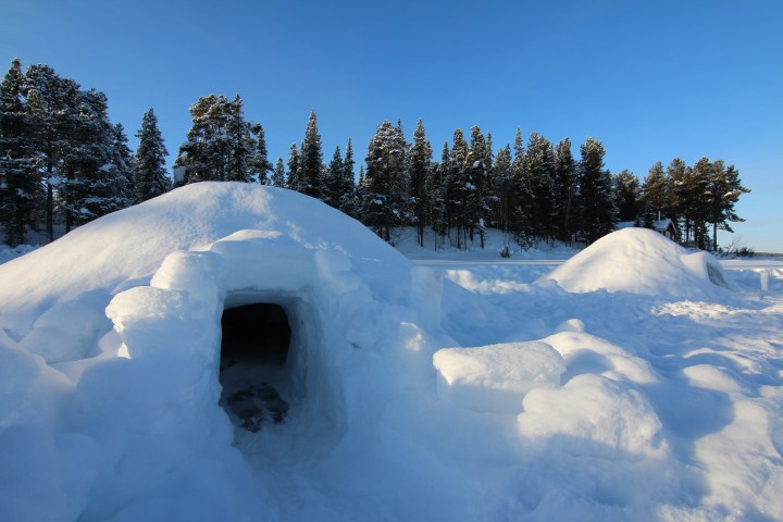 Snow-covered igloo near snowy forest under clear blue sky.
