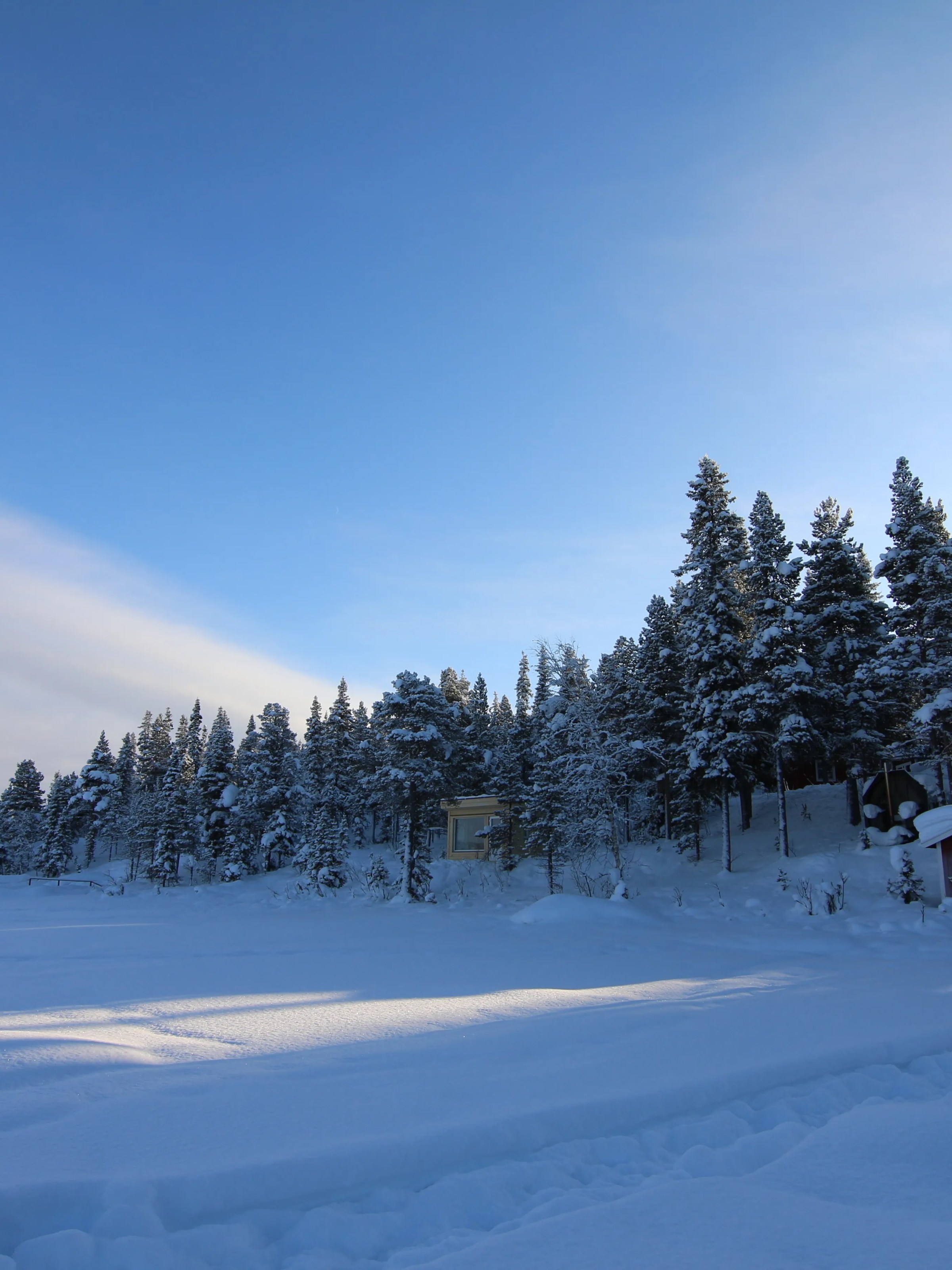 Snow-covered trees and cabins under a clear blue sky in a winter landscape.