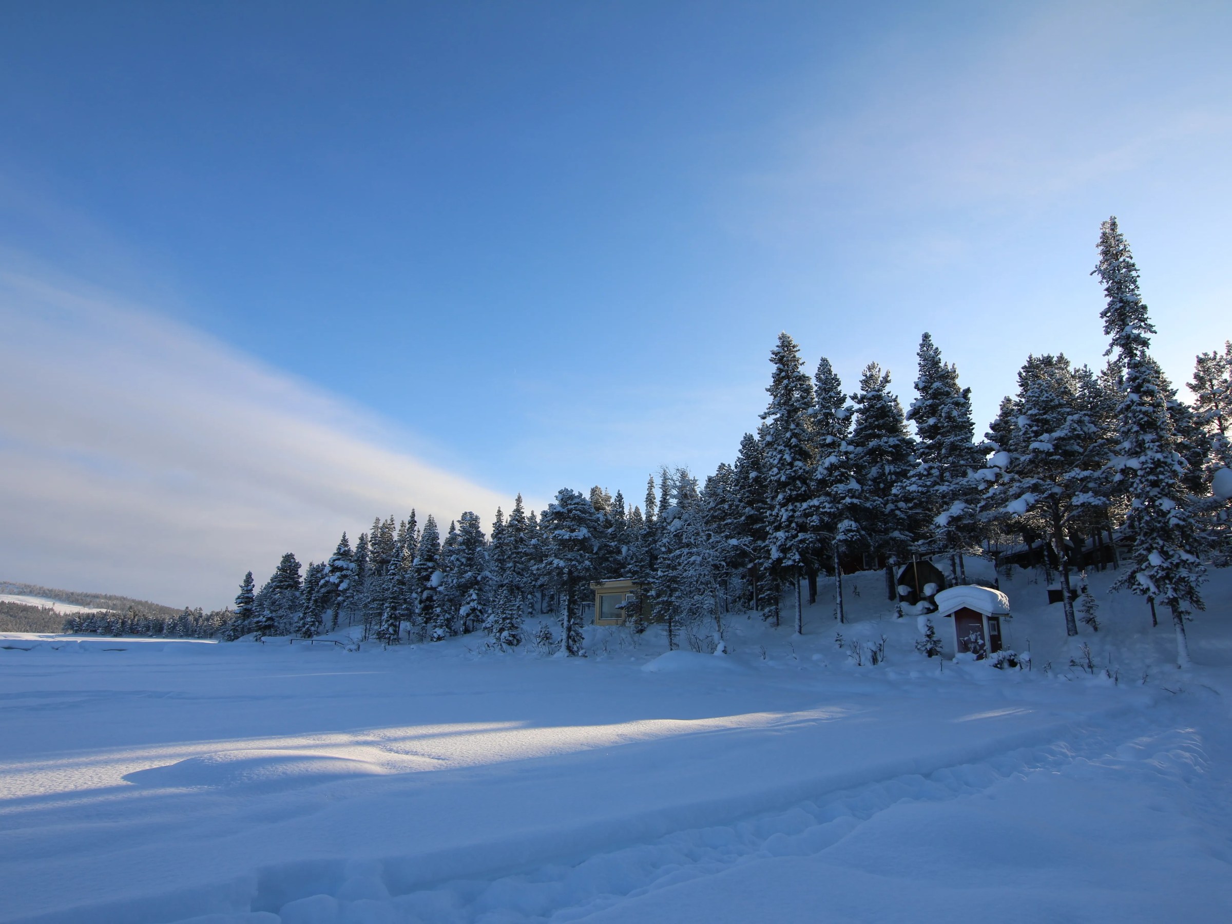 Snow-covered trees and cabins under a clear blue sky in a winter landscape.
