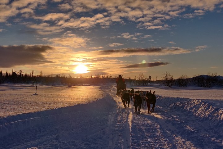 Sunset over snowy landscape with person and sled dogs on a trail.