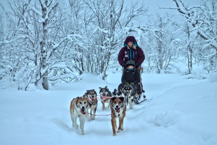 Person and child dog sledding in snowy forest with six dogs.