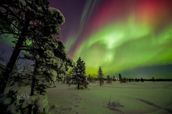Snowy forest under vibrant green and red aurora borealis at night.