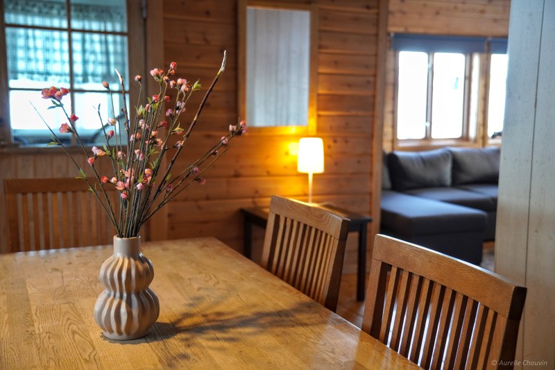 Wooden dining table with vase of pink flowers in cozy room with lamp and sofa.