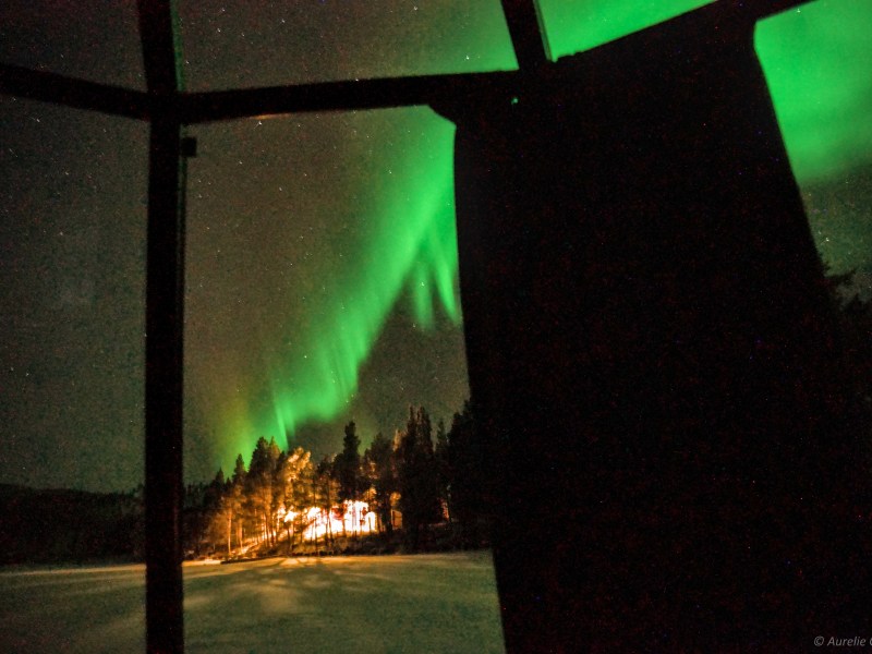 Green aurora borealis over trees and lit forest scene, viewed through window.