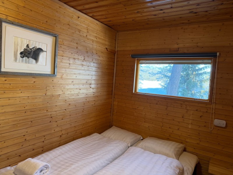 Cozy cabin bedroom with wood walls, a window view, and animal artwork.