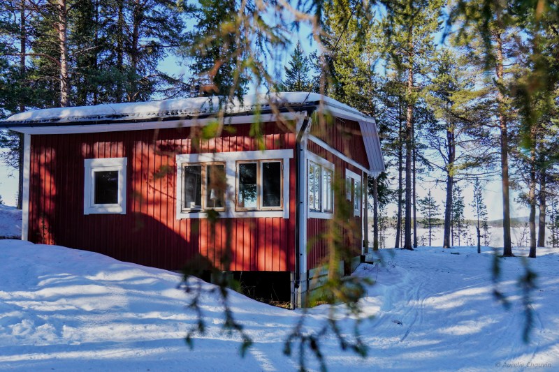 Red cabin surrounded by snowy forest under blue sky.
