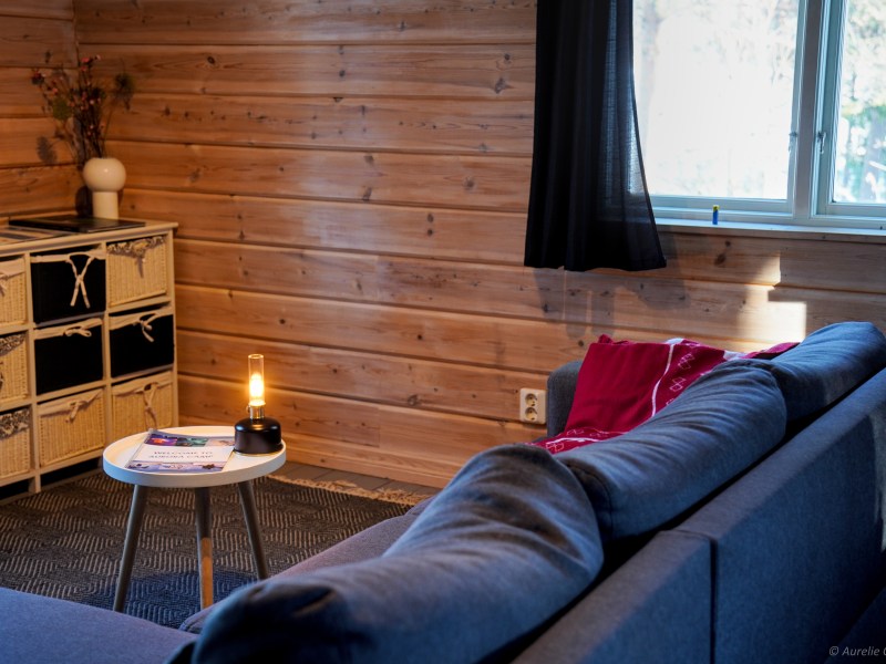 Cozy room with wooden walls, a blue sofa, small table with lamp, and window.